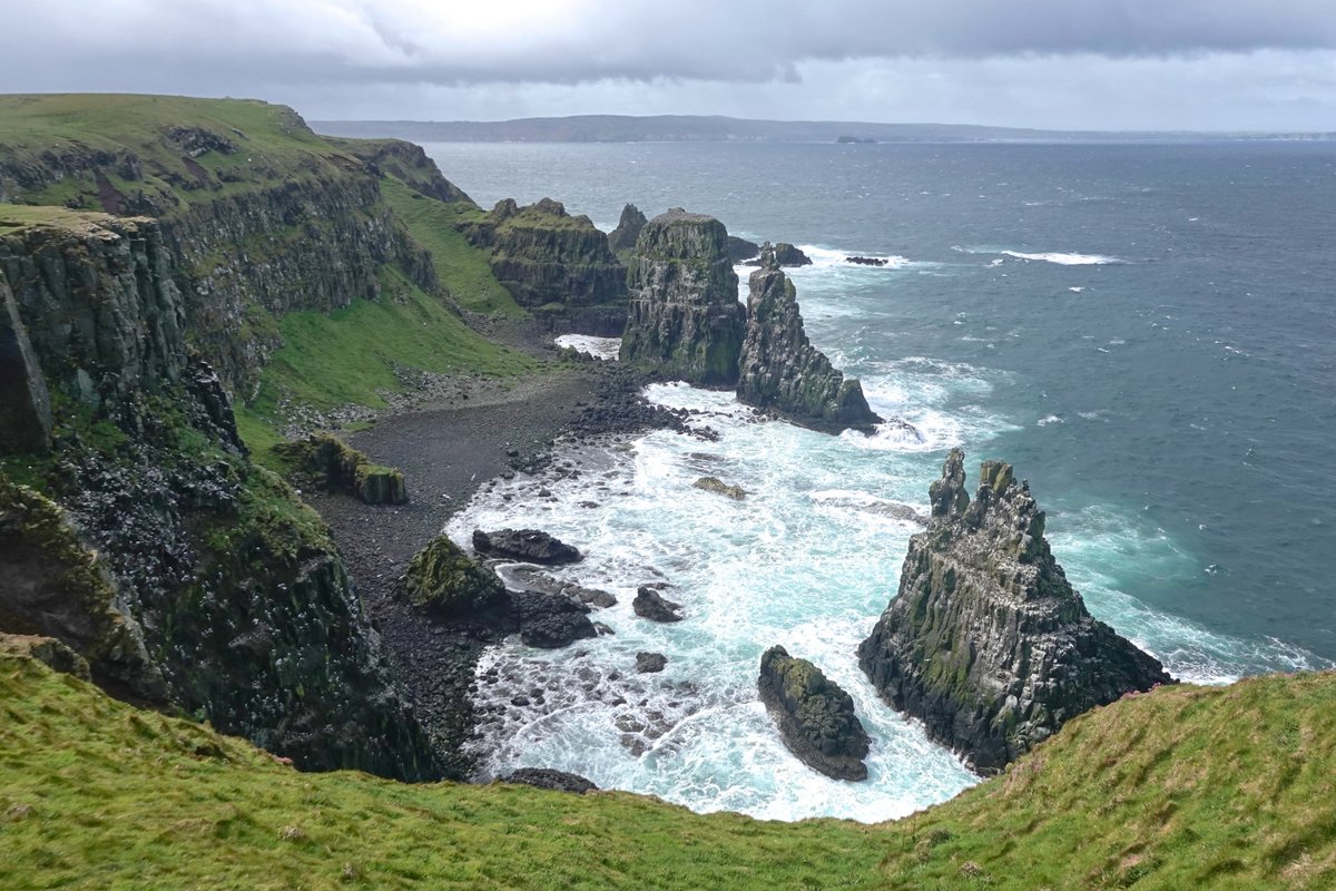 Rathlin Stickybeak tweet media