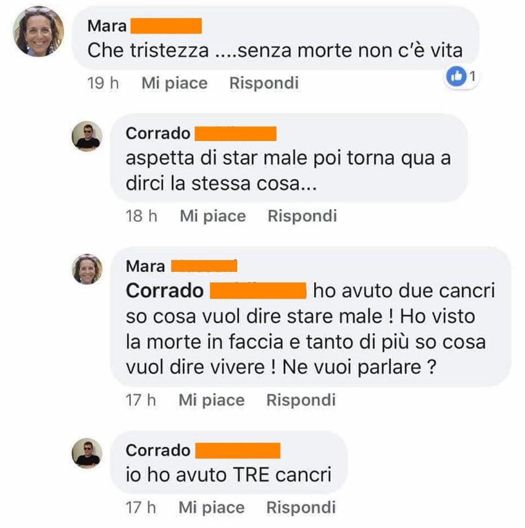 Cane della VIOLESIA 🐕🇲🇾🟣 tweet media