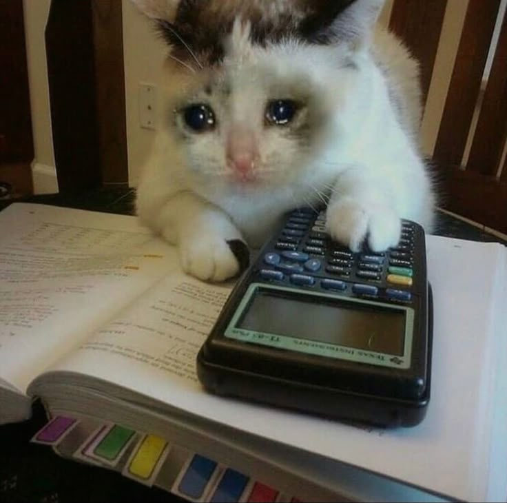 asdfghjlxne's tweet photo. gusto ko rin sana sumabay sa "this hand, this skill" trend kaso napapa-isip ako kung skill ba ang pagdesign ng blueprints at pagsagot ng engineering problems
#torture #stuDYING #gradWAITING https://t.co/sCK39ljmPp