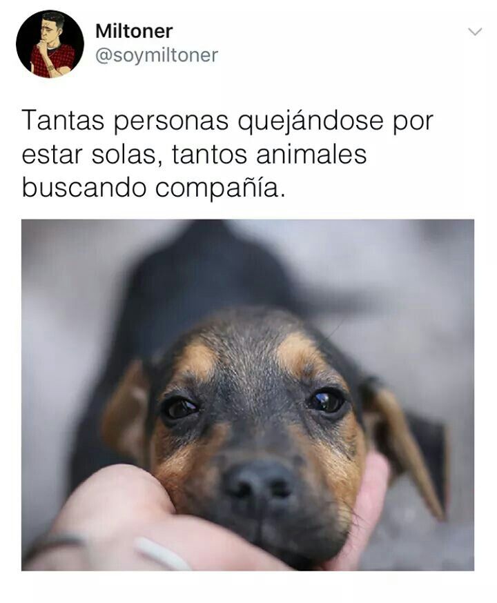 rey_latino33087's tweet photo. https://t.co/SMBrmoEi31