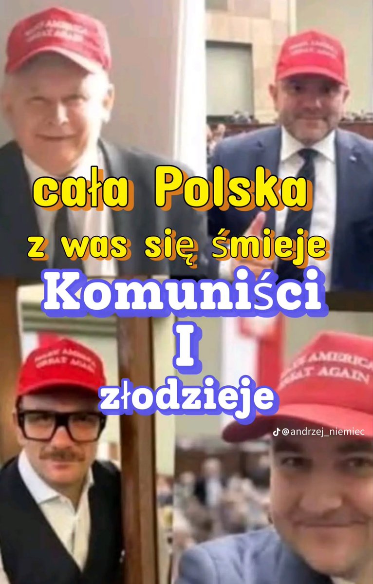 Bobik tweet media