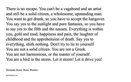 onlypoemsmag's tweet photo. Say yes to everything, shirk nothing. Don't try to lie to yourself. https://t.co/rUeppmh5Ws