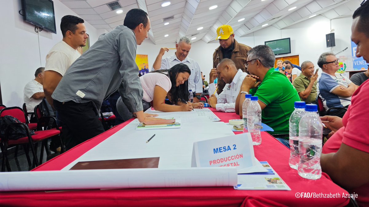 FAO_Venezuela's tweet photo. 🗺️ En Apure, @FAO, @UNCERF y @OCHAFunds, junto a aliados institucionales, trabajan para fortalecer la sanidad animal en contextos de emergencia a través de mesas de trabajo técnicas, impulsando acciones coordinadas y basadas en la realidad local. https://t.co/tUPayQwltn