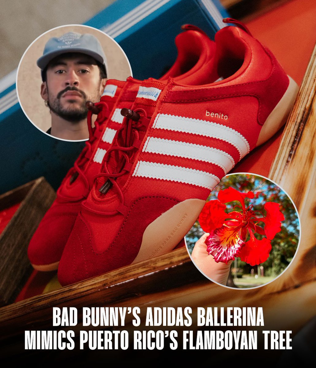 RareX_Community's tweet photo. Bad Bunny x adidas Ballerina Flamboyan 👟🎤

🍁Flamboyan: estos están inspirados en los arboles rojos ardientes nativos de Puerto Rico 🇵🇷 https://t.co/STk55E1yWv