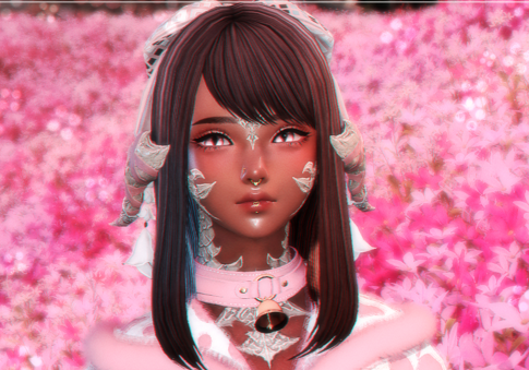 Feli | 🦝🎀-Phase tweet media