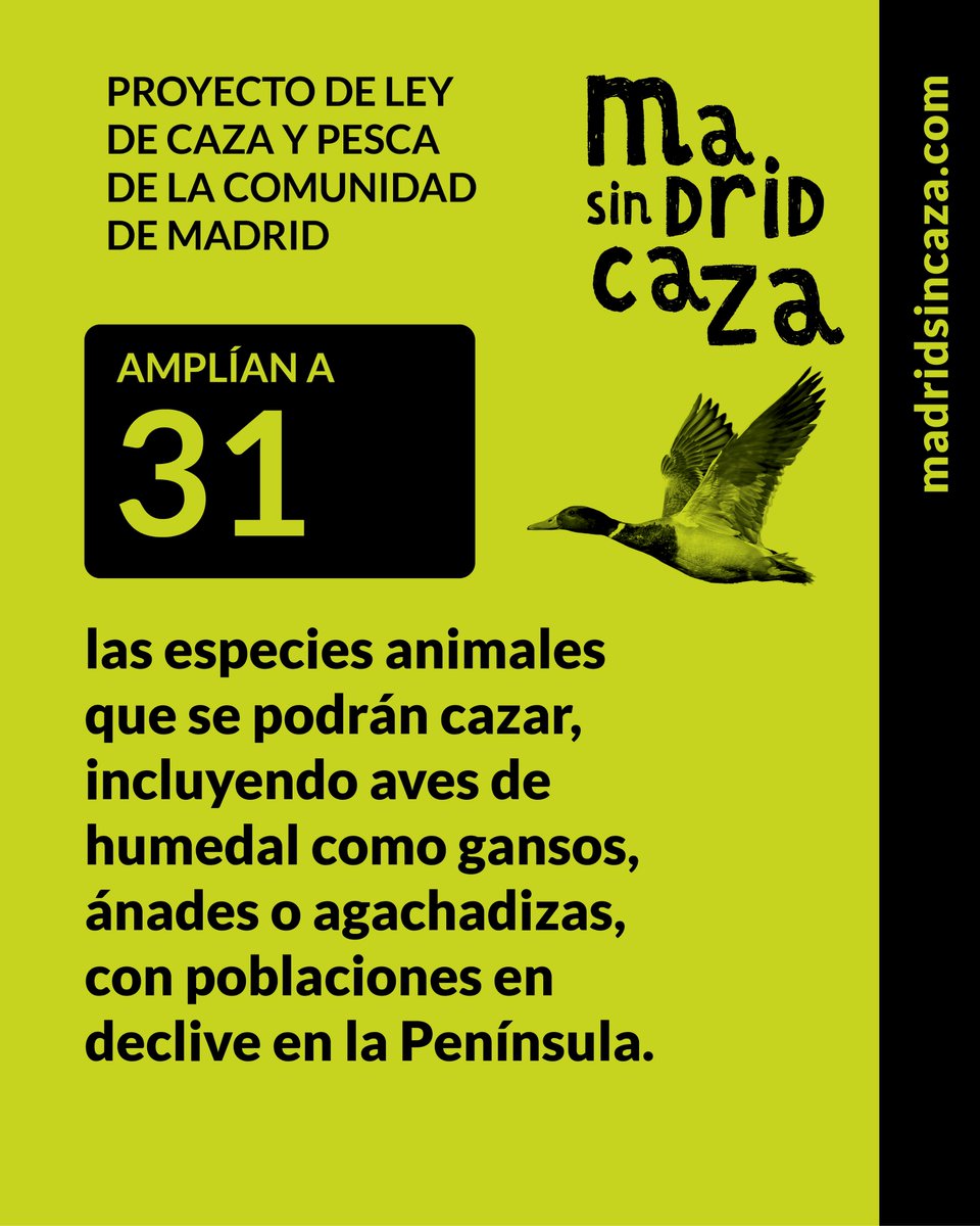 Plataforma Jarama Vivo tweet media