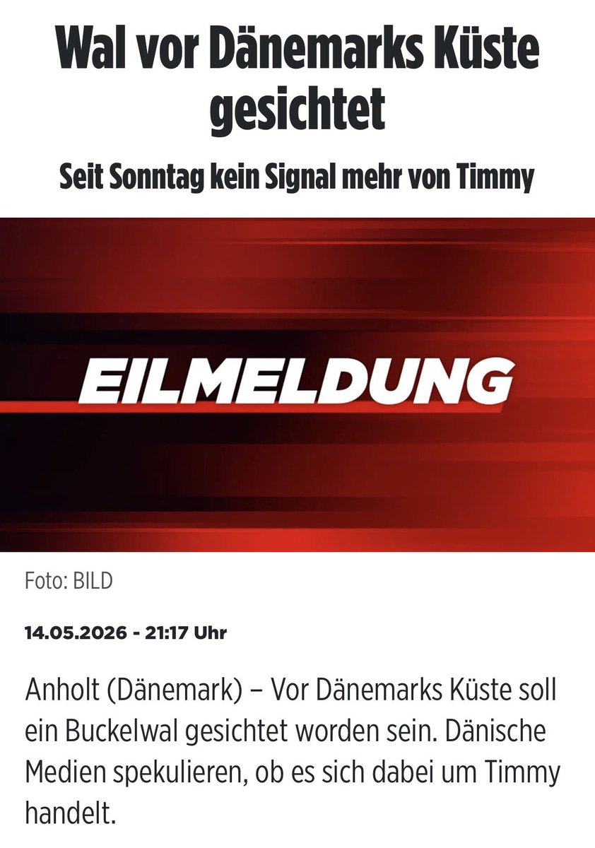 Flocke tweet media