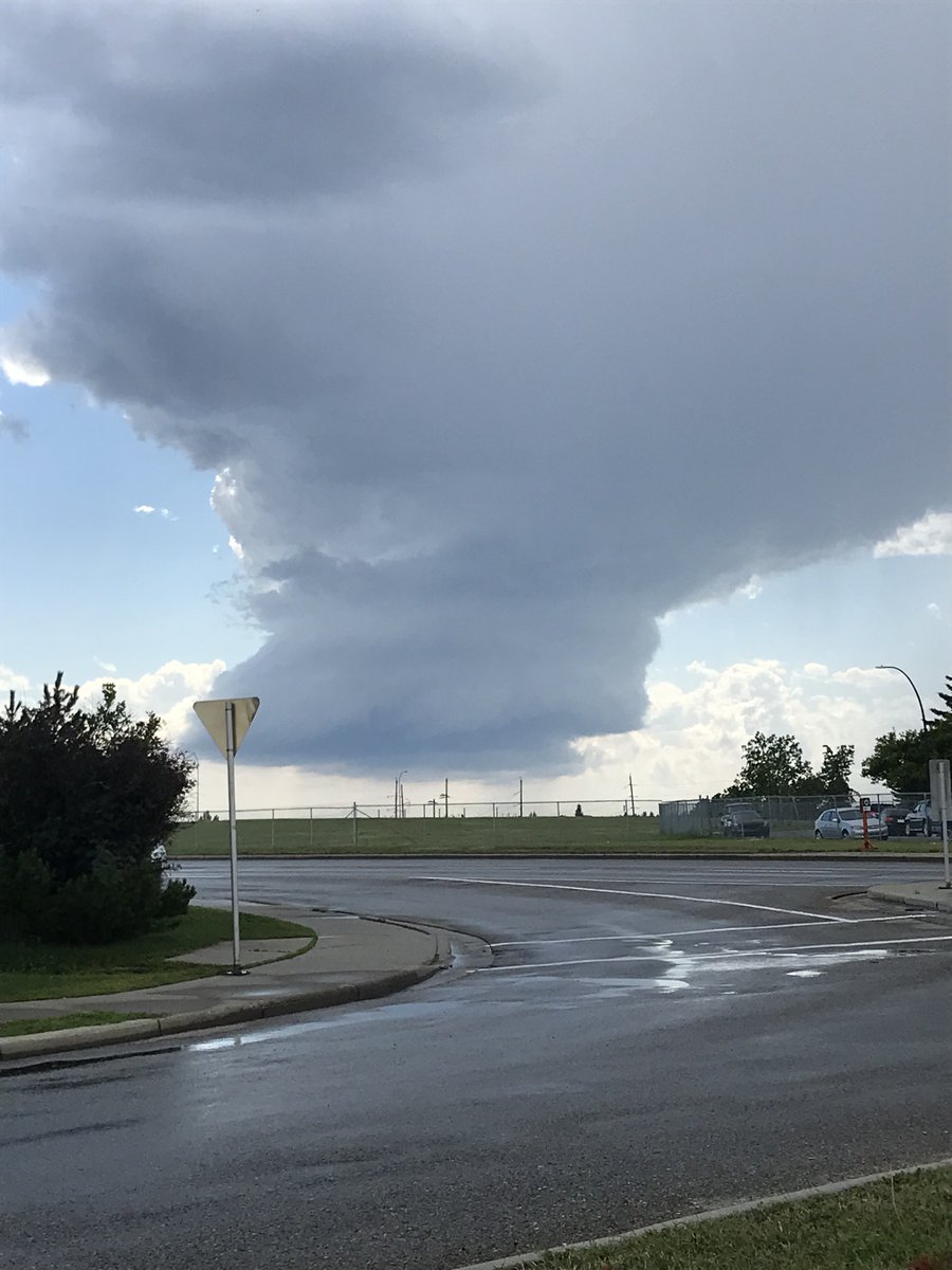 Maverick Storm Hunters tweet media