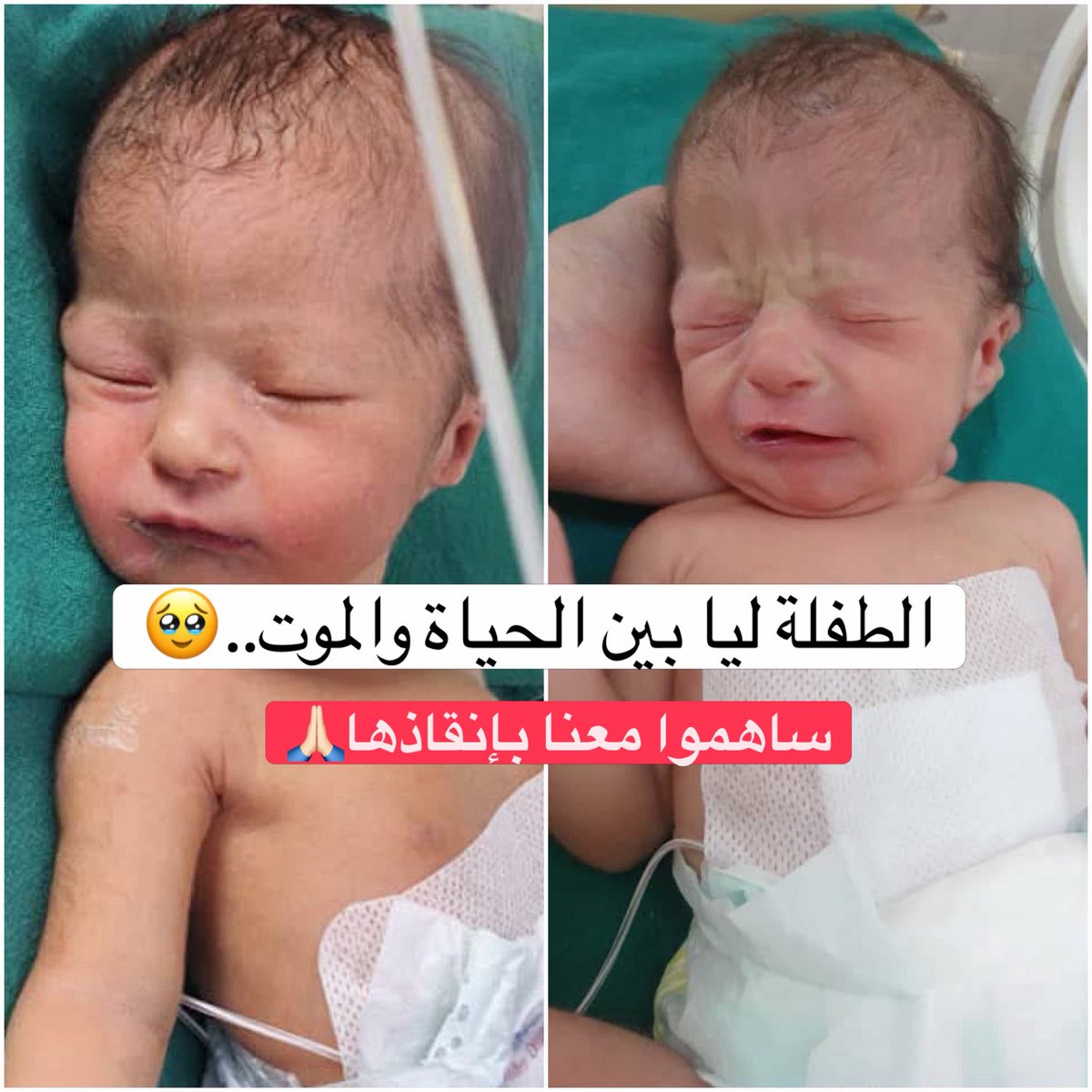 إبراهيم الزيدان tweet media