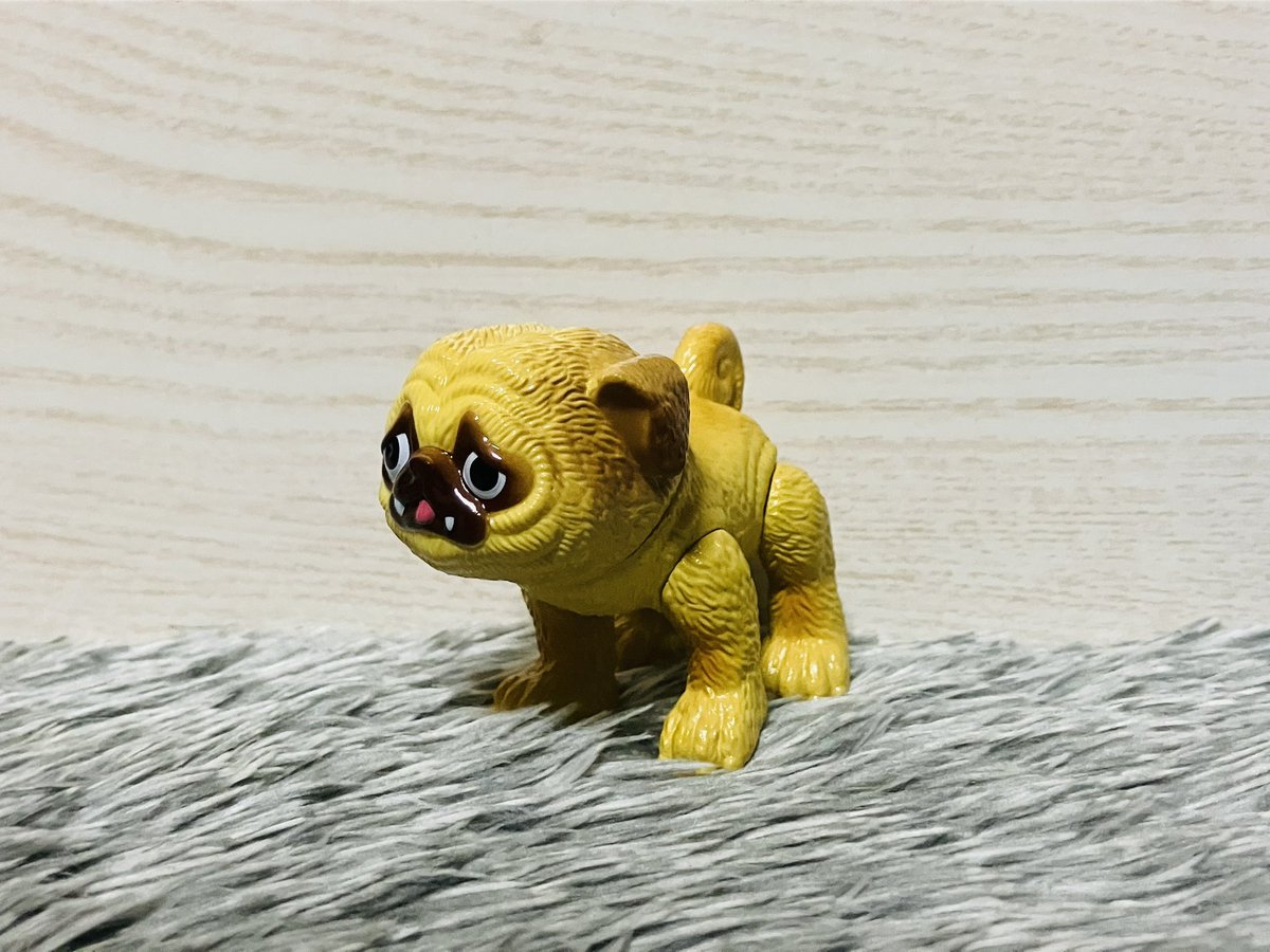 パグ獣🐶作った人→あきぱぐ🐶 (@pugchaa) / Posts / X