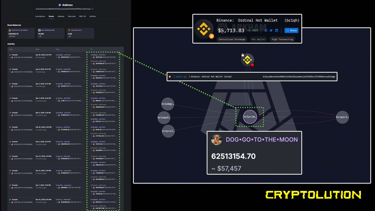 Vincent (Cryptolution) 👑 tweet media