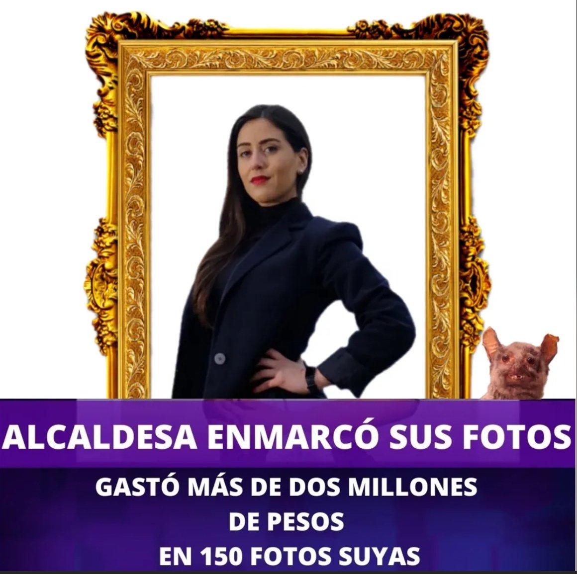 AlexObserver14 tweet media