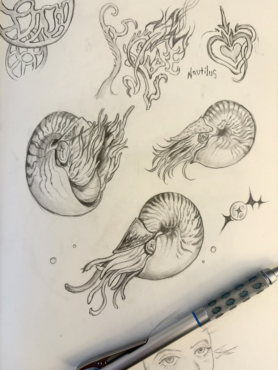 3phink0's tweet photo. finally usin a sketchbook i got in 2018 :} #nautilus https://t.co/XJWYNgk3MC
