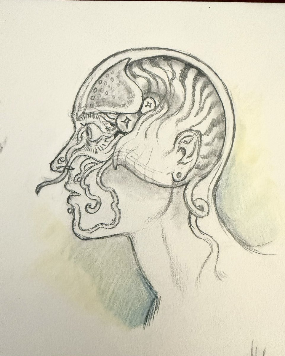 3phink0's tweet photo. finally usin a sketchbook i got in 2018 :} #nautilus https://t.co/XJWYNgk3MC