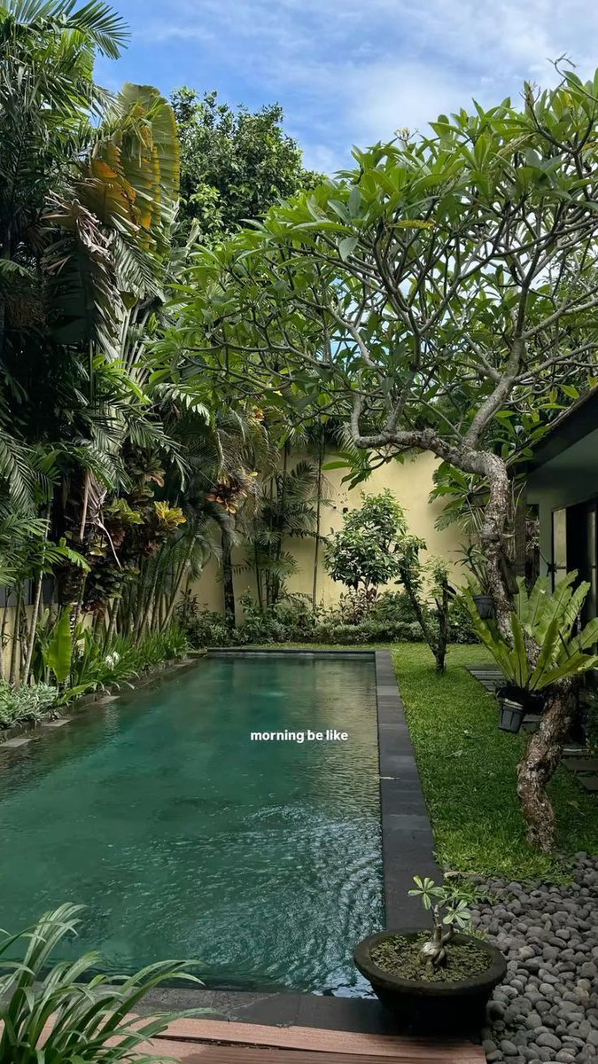 greenvibe tweet picture