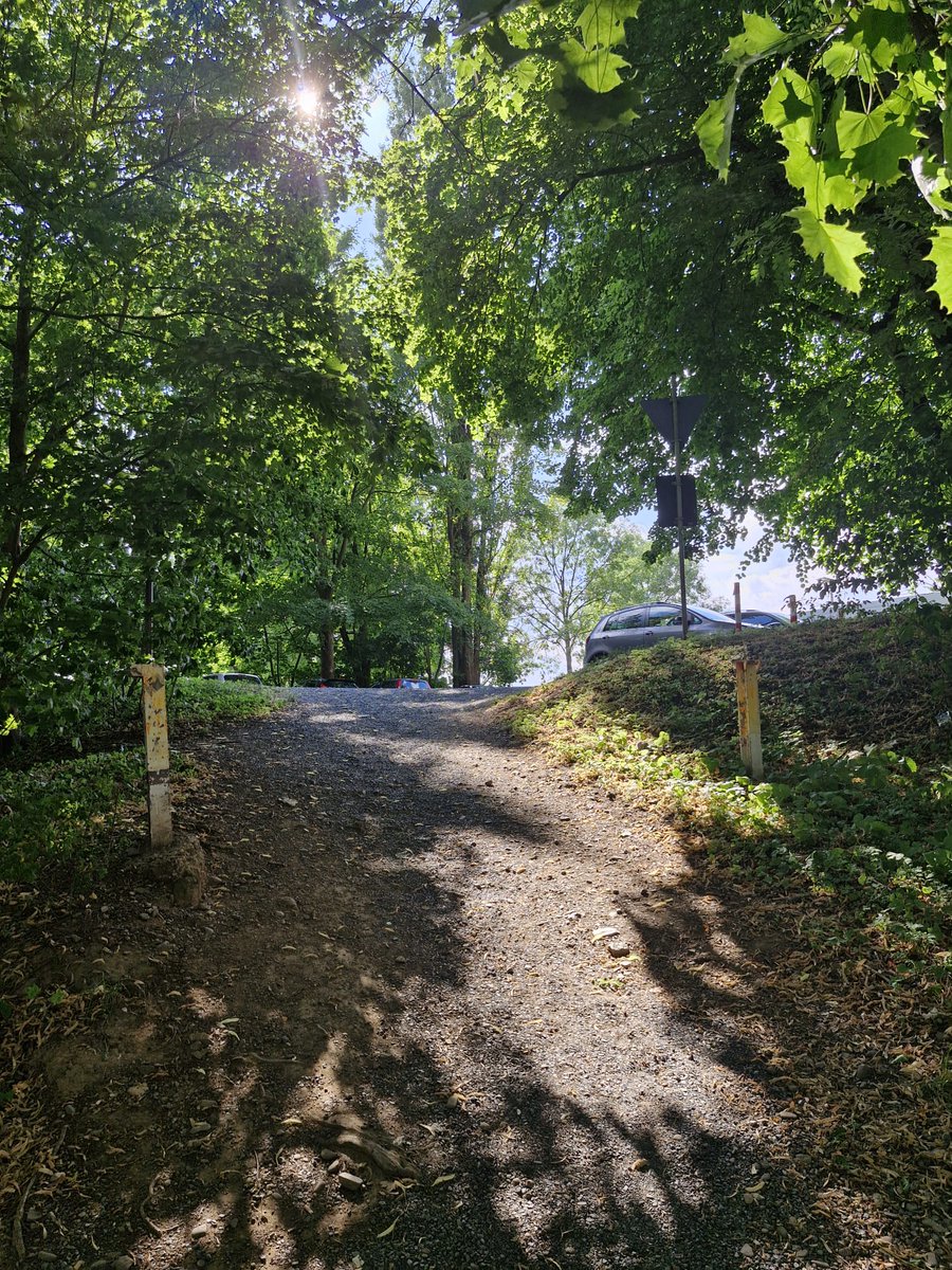 ayva_zeynep's tweet photo. Zor bir gündü.Ama eve dönüş yolunda hepsi geride kaldı. Güneş gülümsedi sımsıcak.
Şimdi uykuya dalacağım. Emek sarf etmeden rüyalar göreceğim. Kendimden biraz uzaklaşıp, uzaktan bakacağım kendime. Karanlık, bedenimi saracak ve tamir edecek. Ruhumla ilgilenecek gece.
#iyigeceler https://t.co/NUcSUfCbYO