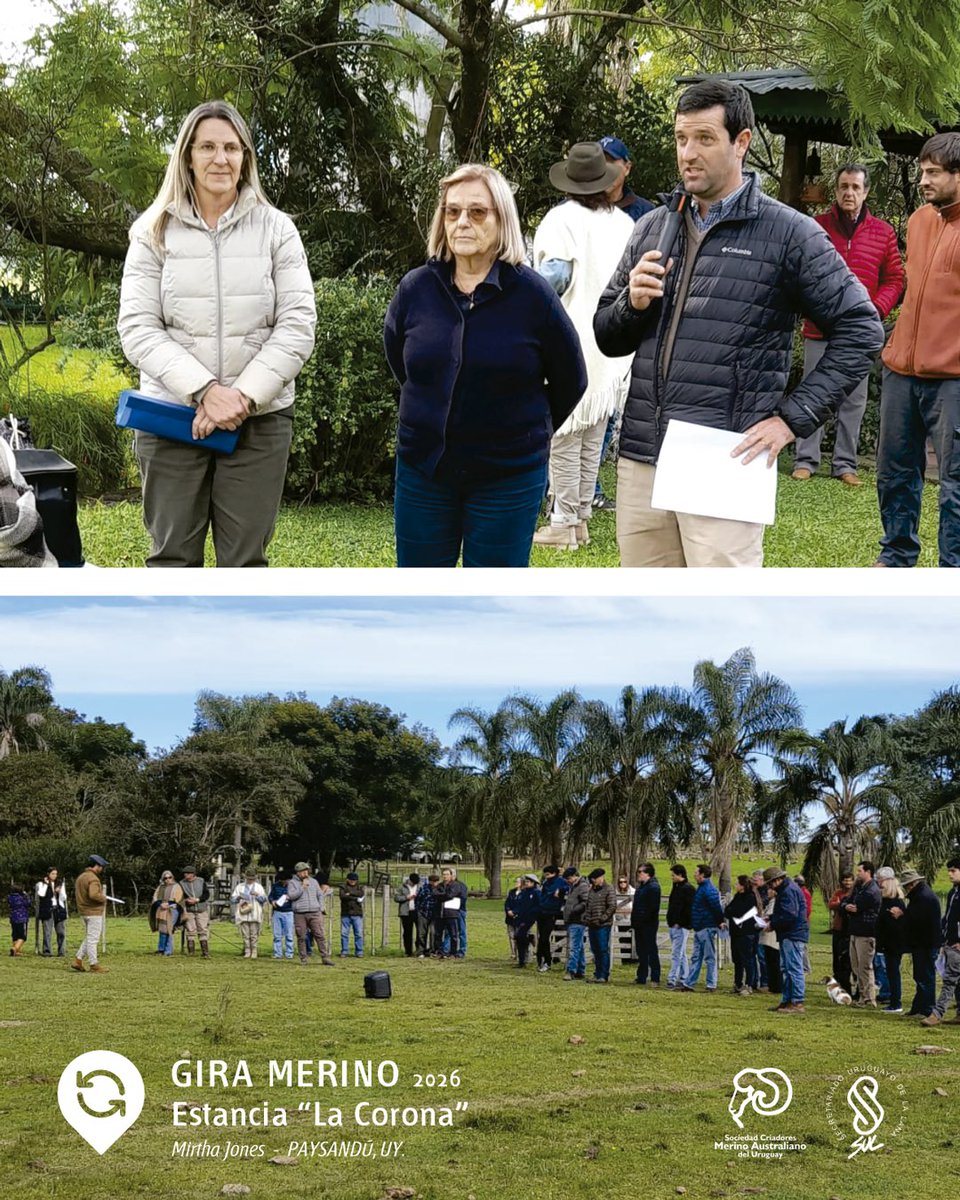 MerinoUY's tweet photo. Continuamos la gira de @merinouy por 🤝🐑 📍 Estancia “LA CORONA” | Mirtha Jones https://t.co/aXNyTwmvV8
