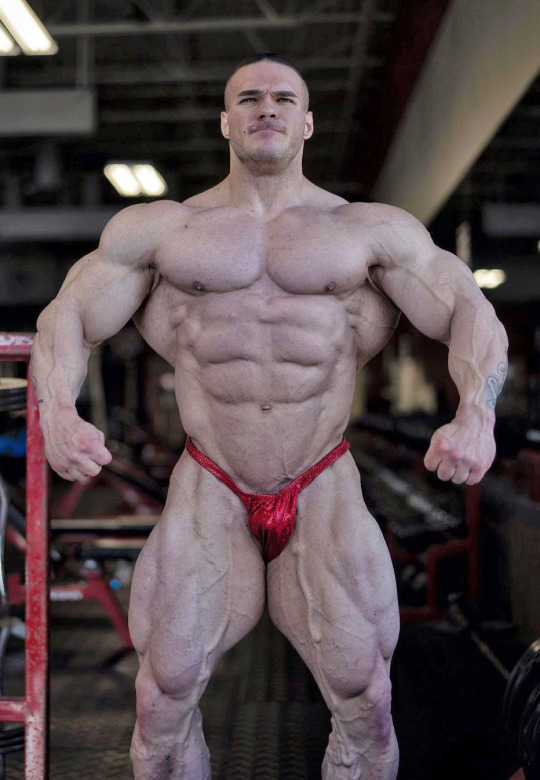 Viciado em Músculos / Muscle Addict tweet media