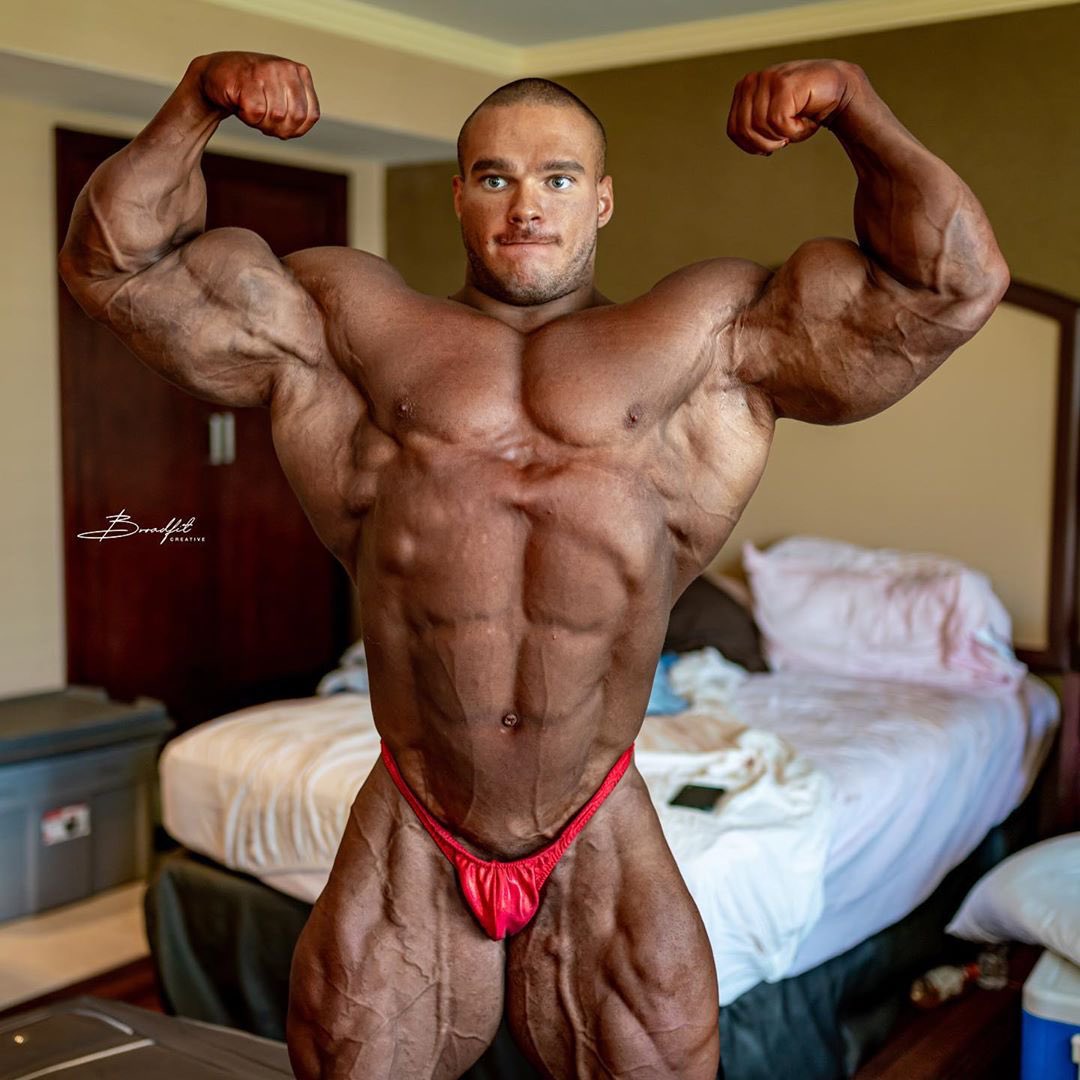 Viciado em Músculos / Muscle Addict tweet media