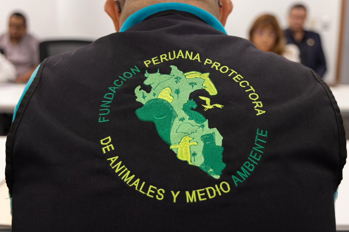 ipdperu tweet media