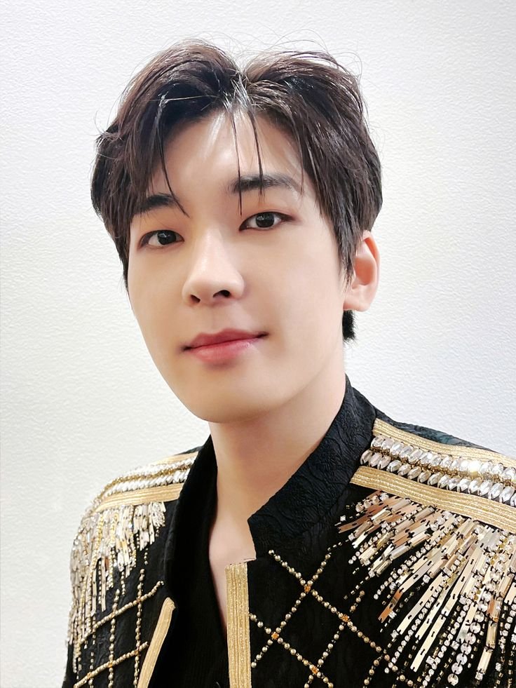 hourly wonwoo tweet media