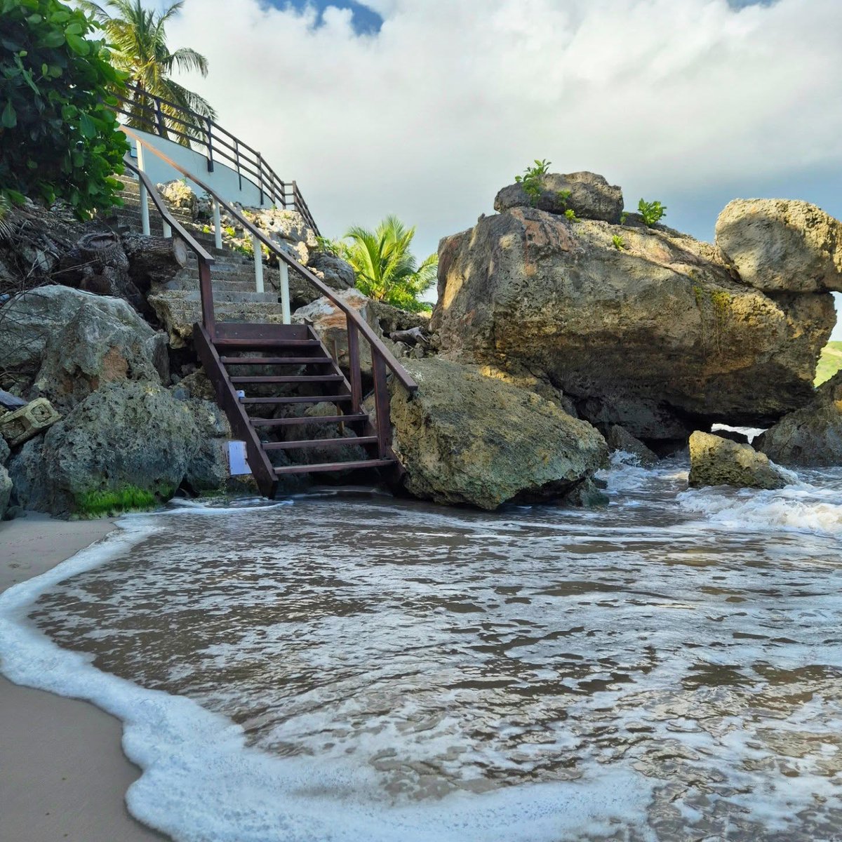 Visit Barbados tweet media
