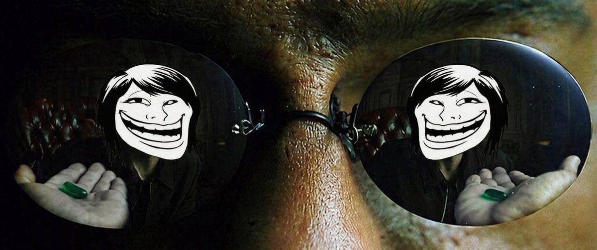 trollina tweet media
