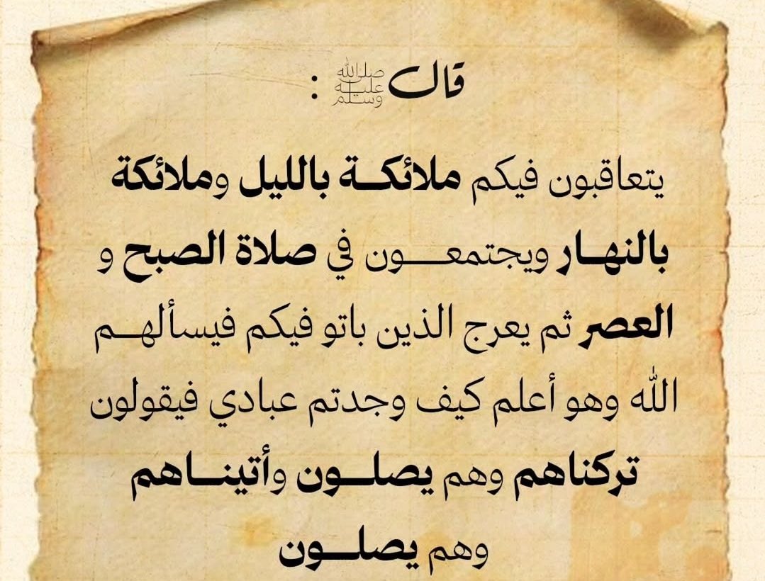 زائره من عالم آخر tweet media