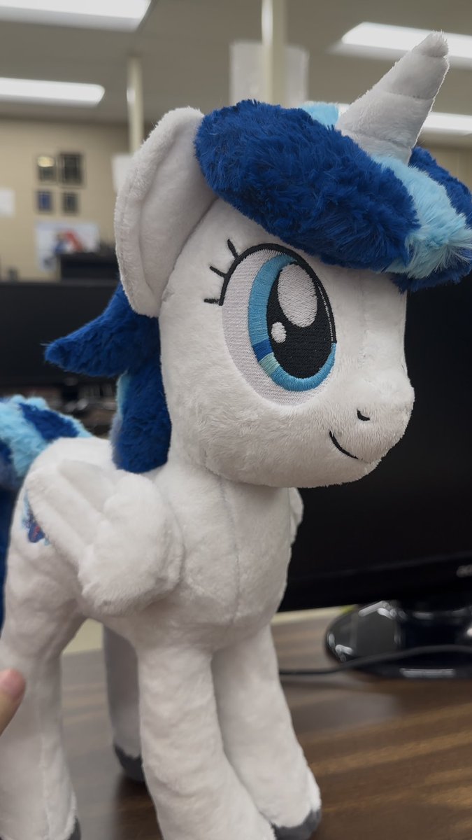 AceGuardPony tweet media