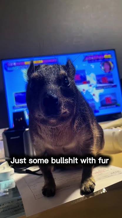 Hukkin_Ham tweet media