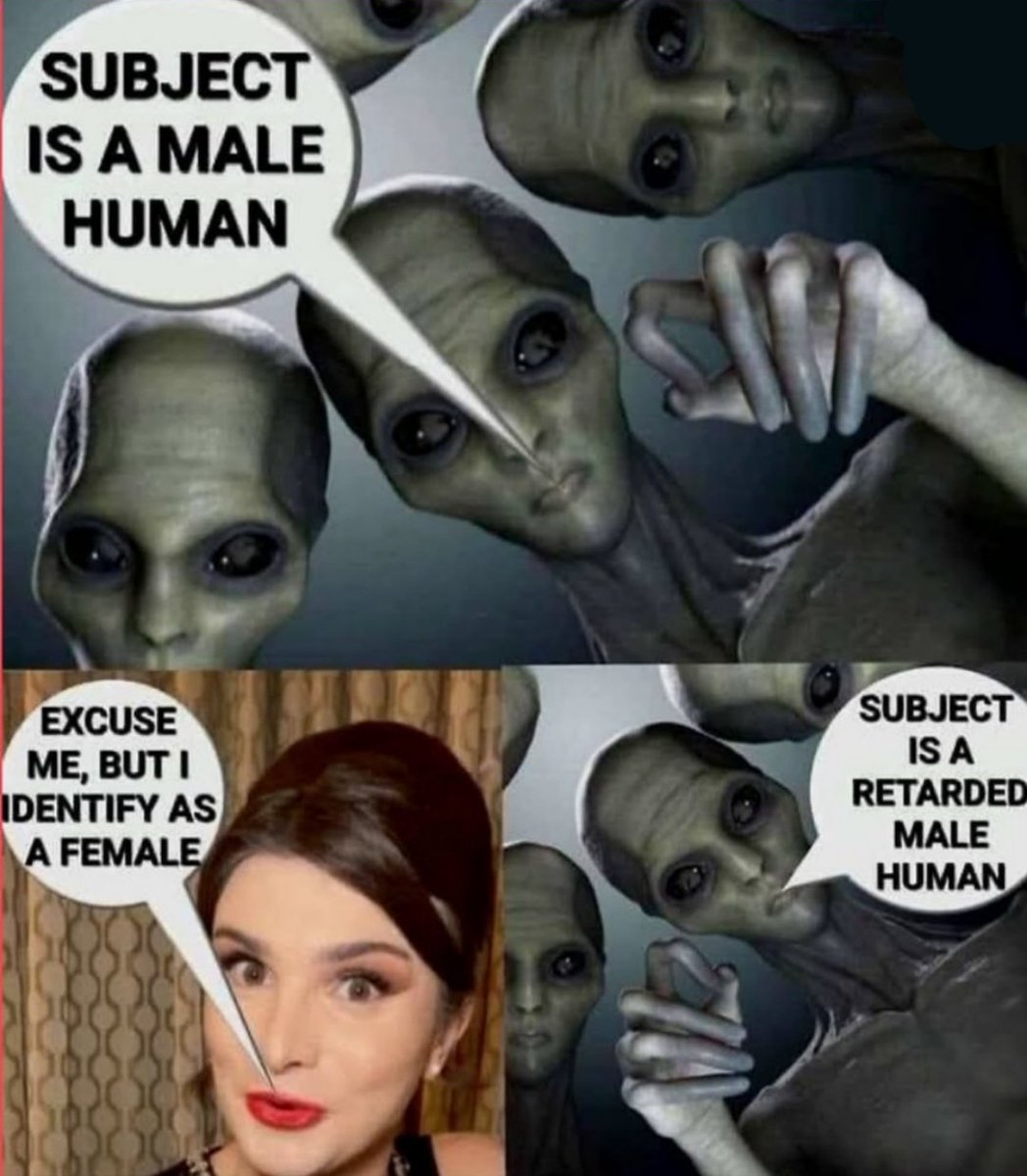 Meme Callz DYOR tweet media