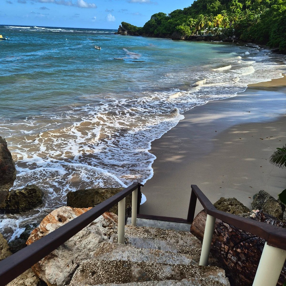 Visit Barbados tweet media