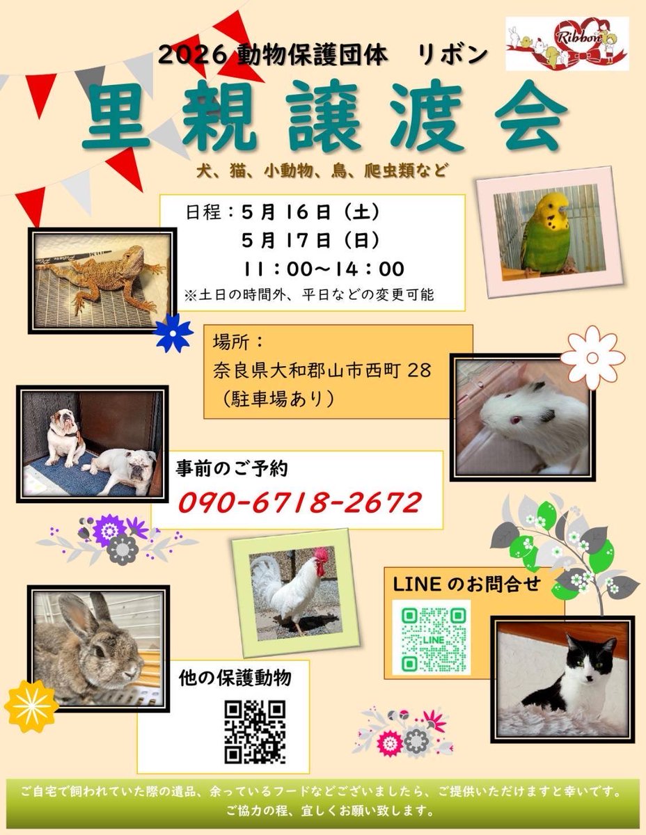 りぼん 動物保護団体 tweet media