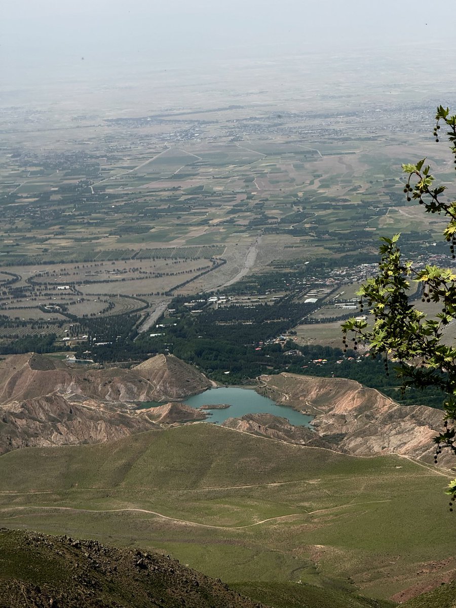 ماهی سفید tweet media