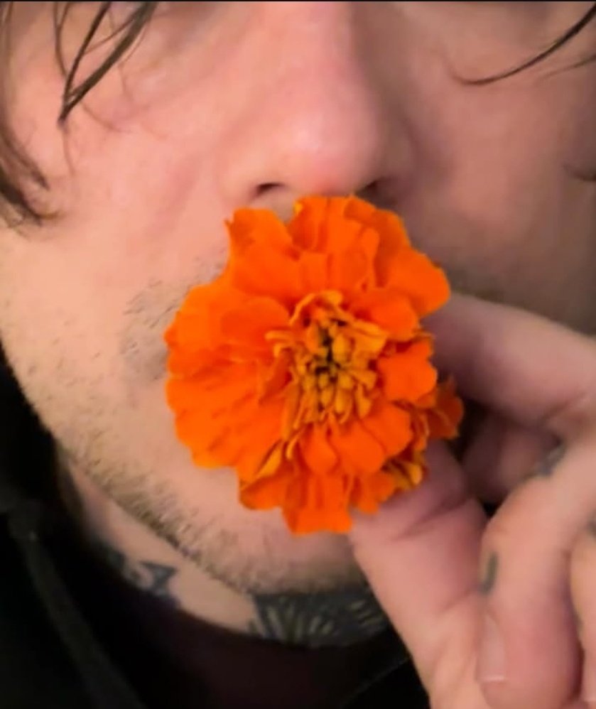 saintdestroya's tweet photo. Frank iero despite everything, it's still you https://t.co/h0TzqRSlGH