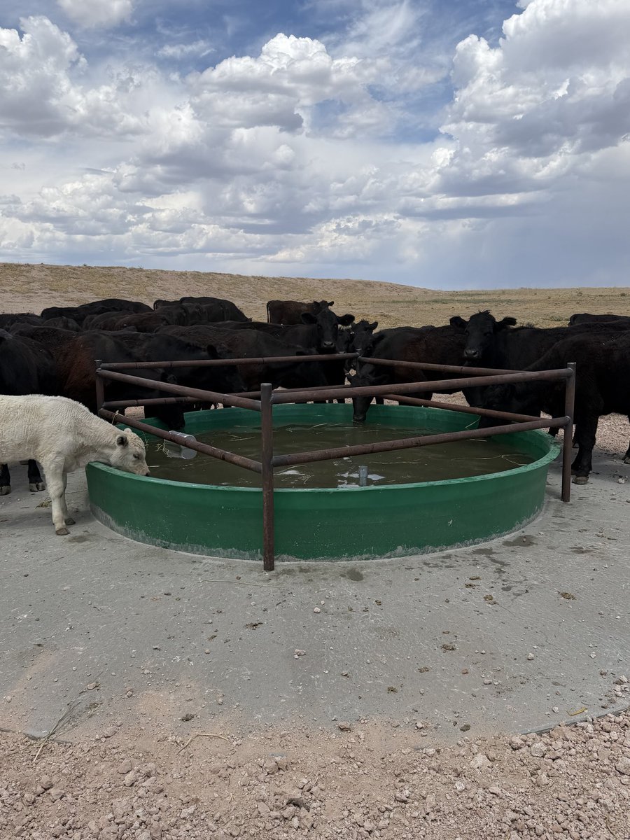Jerod McDaniel tweet media