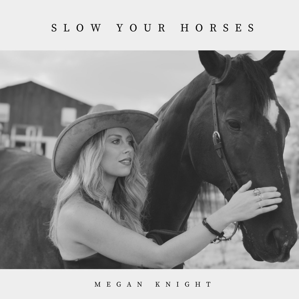 Megan Knight tweet media