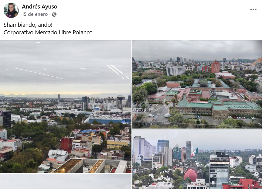 ARQ. BON- SAI tweet media