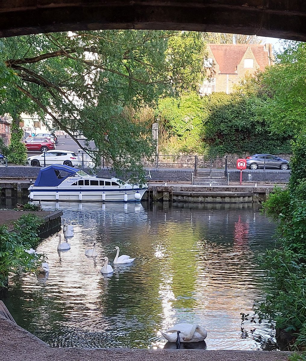 PantoCME's tweet photo. Fun day out in Norwich.  Arrived in torrential rain and travelling home on a beautiful spring evening.  Miss Saigon @NorwichTheatre Royal was an amazing production.  It was good to see two performers I had previously seen in panto, Mikko Juan and Aaron Teoh. https://t.co/IK4AQhBnpe