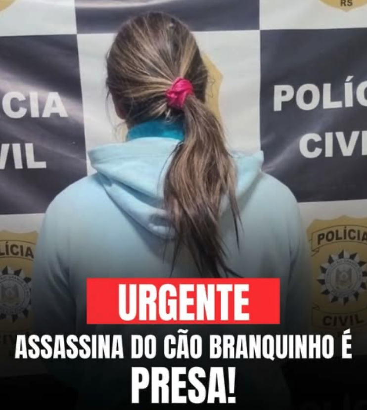 Delegado Bruno Lima tweet media