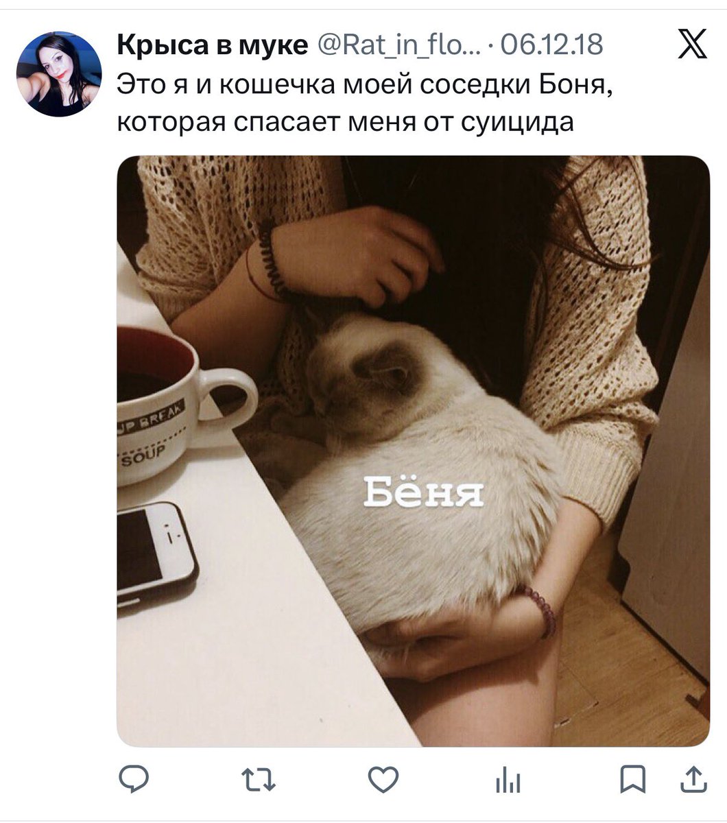 невротизированная демшиза tweet media