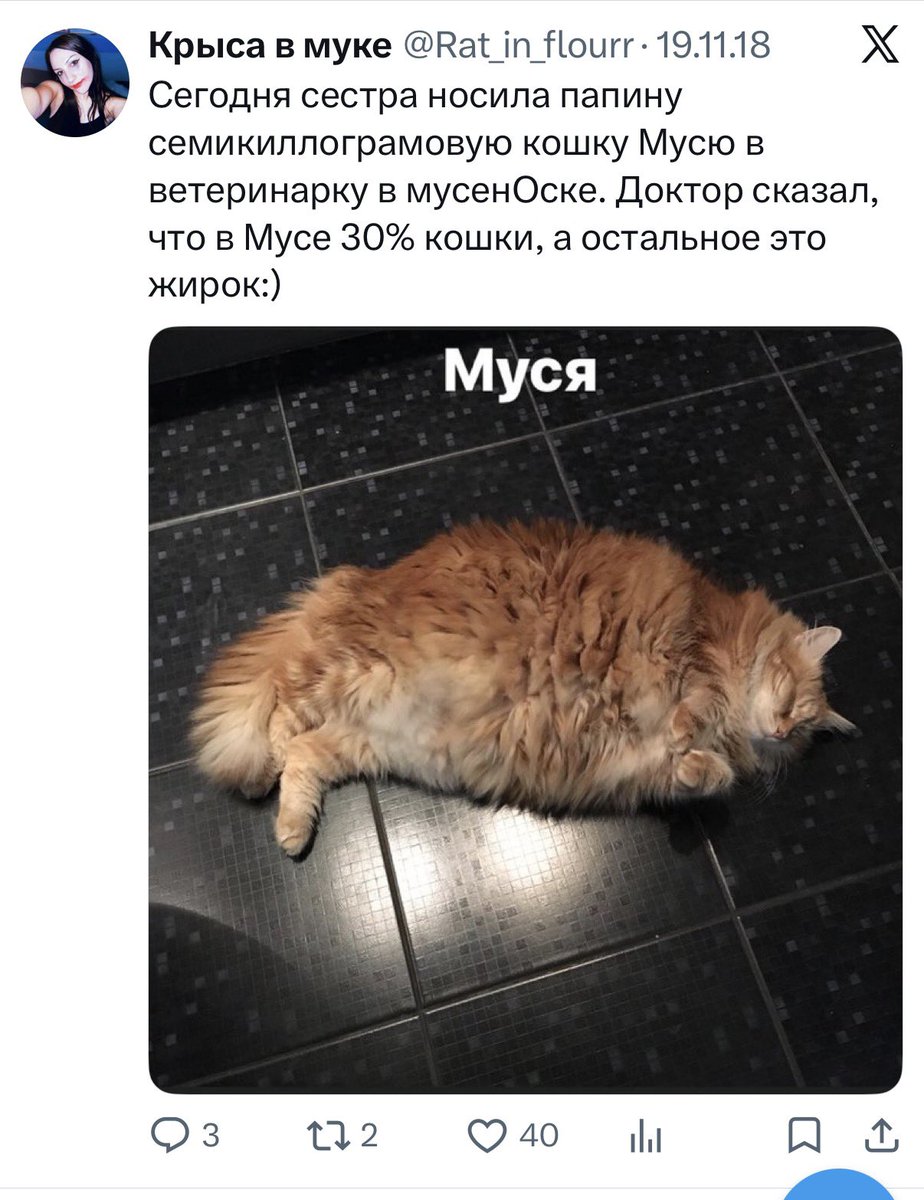 невротизированная демшиза tweet media
