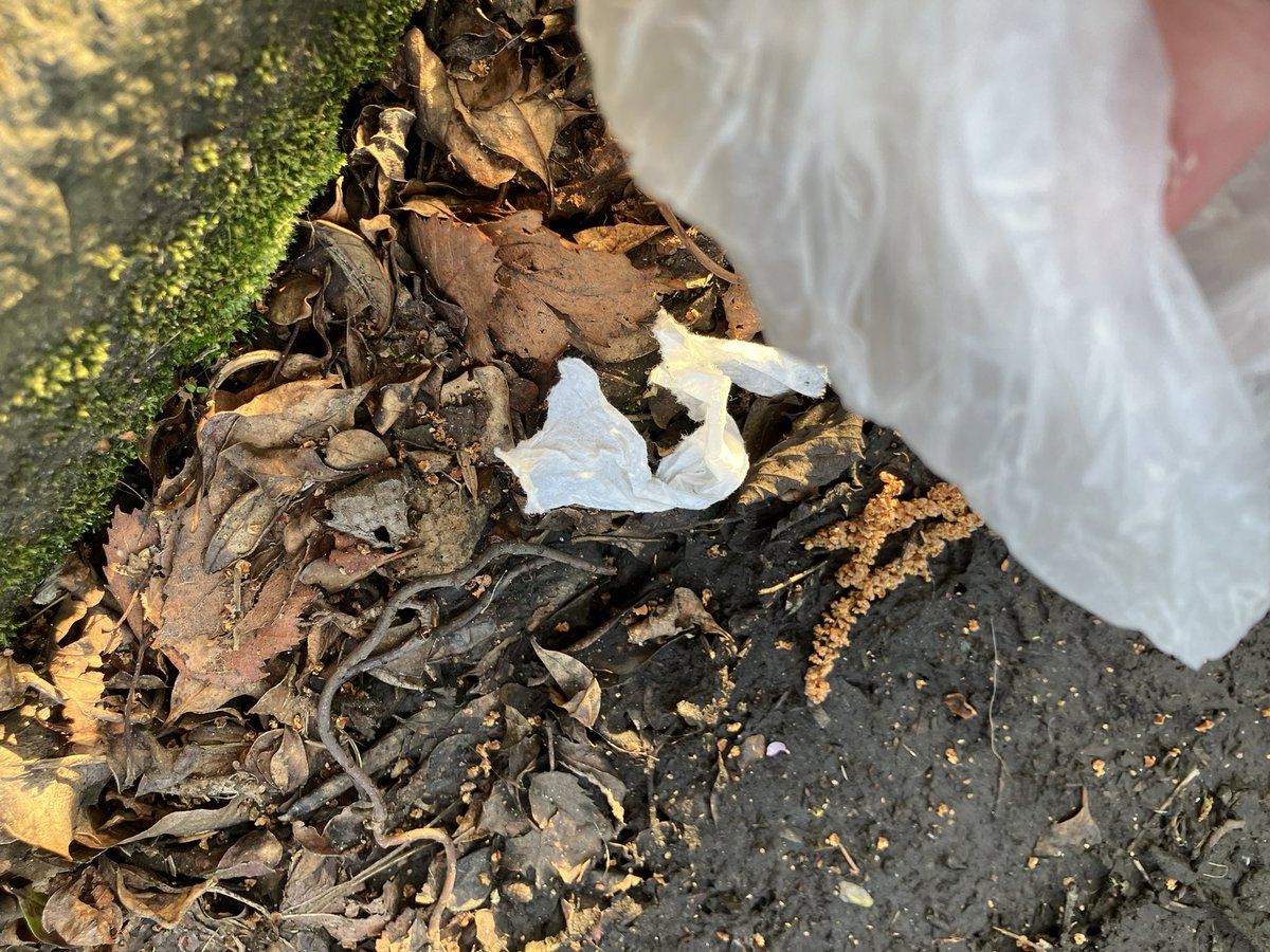 _pickuplitter's tweet photo. @_pickuplitter on duty ✅
Saw, picked, binned. The last four day’s picks: it makes a difference. @KSBScotland  #WashYourHands                  @CleanUpScotland  @ZeroWasteScot @PlasticPollutes @Plasticsimpact https://t.co/VbSCBc1v5K