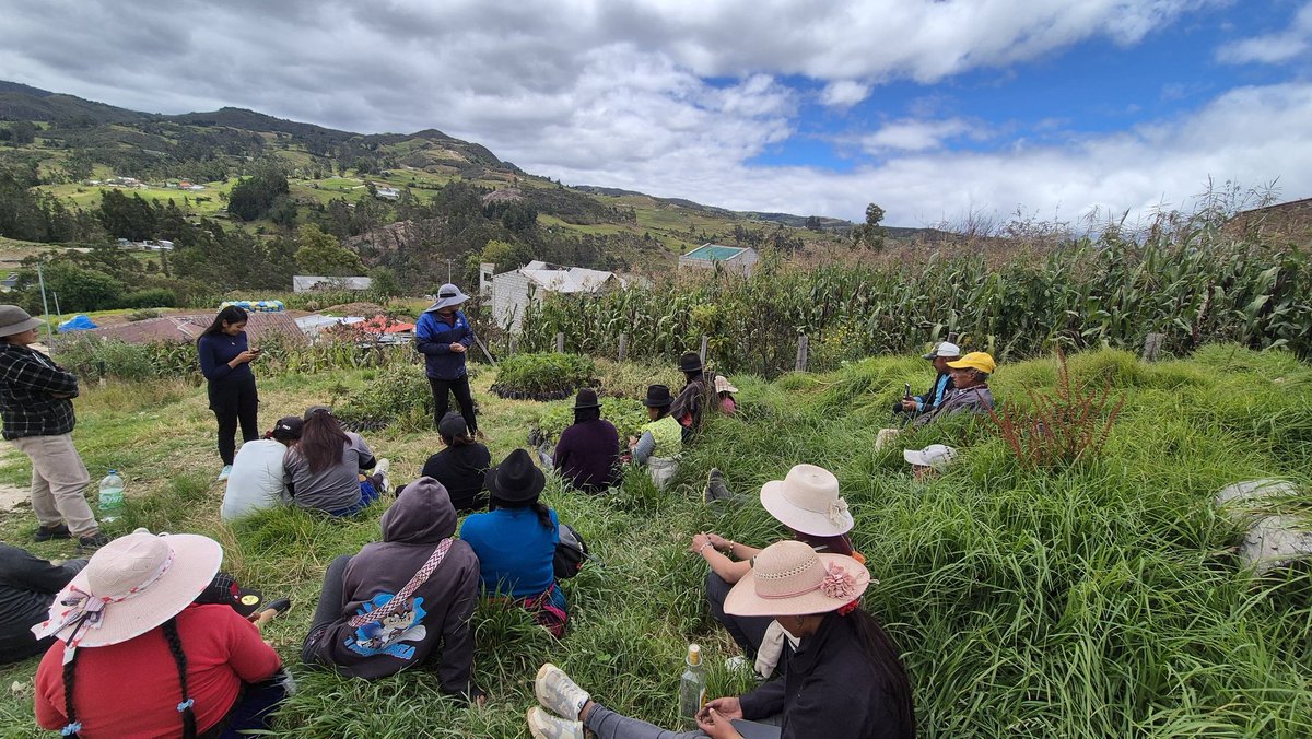 AzuayPrefectura's tweet photo. ¡Avanzamos a nuestra meta de #UnMillónDeÁrbolesParaAzuay! 🌳🌳

✅ Entregamos 3️⃣ mil plantas forestales nativas a la comunidad Rañas en #Nabón, entre laurel de cera, quinua, pekín, cedro y pumamaqui.🌱 https://t.co/paJTINJQvj