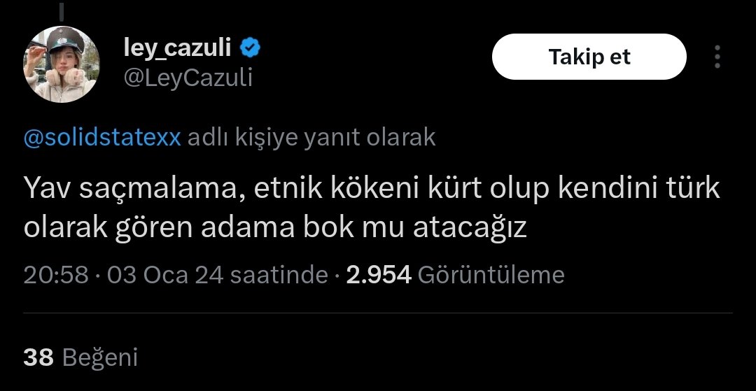 𝕯𝖔𝖑𝖚𝖓𝖆𝖞 𝕳𝖆𝖓 ᛉ tweet media