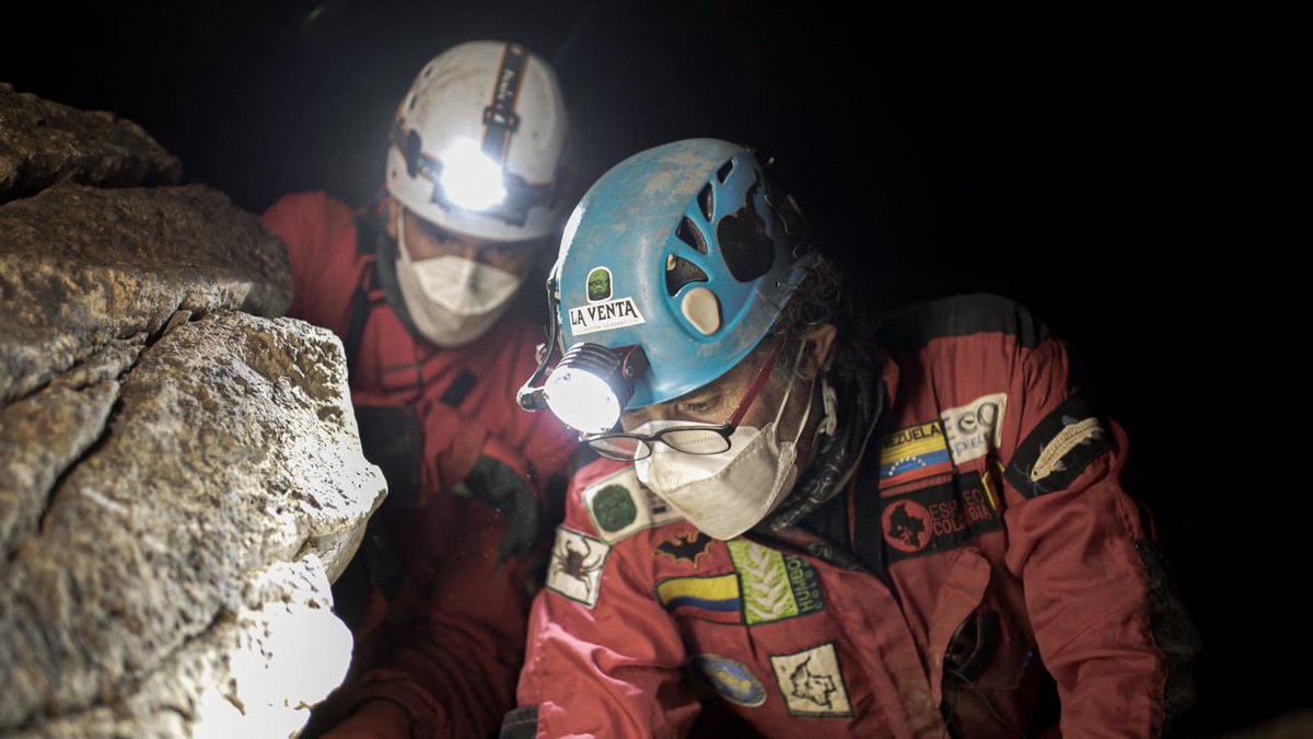 classoalcala's tweet photo. La vida cavernícola oculta entre los “excrementos” de los murciélagos 🦇: el guano… de sistemas subterráneos de Santander. Felicitaciones E. Castro @U_ElBosque y @inst_humboldt comunidad y colaboradores espeleologos https://t.co/hs2WWVfnMR