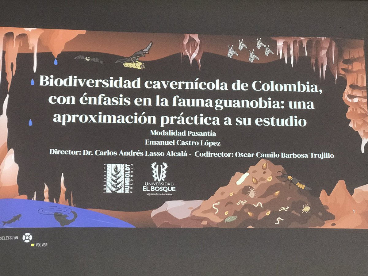 classoalcala's tweet photo. La vida cavernícola oculta entre los “excrementos” de los murciélagos 🦇: el guano… de sistemas subterráneos de Santander. Felicitaciones E. Castro @U_ElBosque y @inst_humboldt comunidad y colaboradores espeleologos https://t.co/hs2WWVfnMR