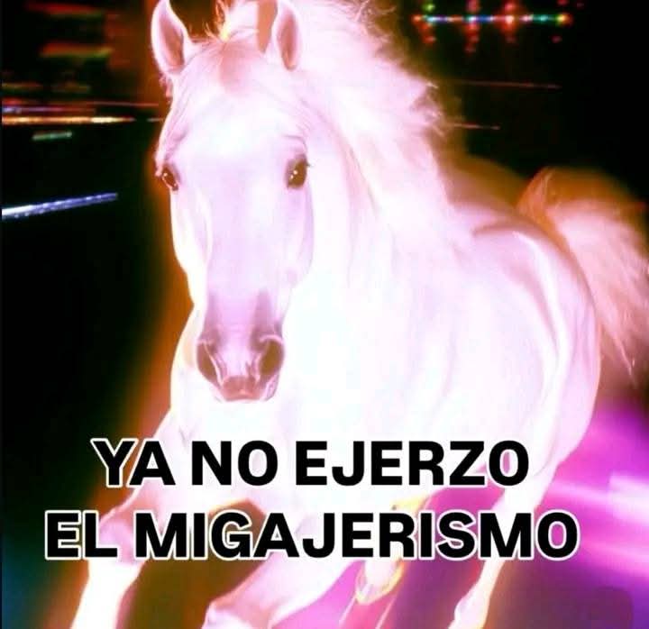 Memes para Otakus Gaymers de Closet en Inglés tweet media