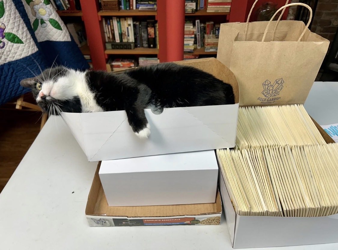 blinkink50's tweet photo. "Midsummer Magic" set to mail out June 1st. Frida Cat says all new subscriptions before then will get a free copy of "Lost Civilzations" https://t.co/UpHbAnfh46 https://t.co/Xevu8iilKJ