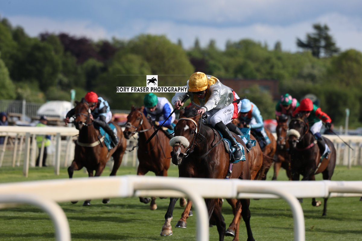 92RoryF's tweet photo. Action from race seven at York this afternoon, the class four 3-y-o handicap (1m 4f)
ARC OLE OLE (Study of Man x Alma Linda) won at Doncaster in March and looks to be very progressive. Winning here with ease, which was well received by his connections. https://t.co/mOqMTq2XxA